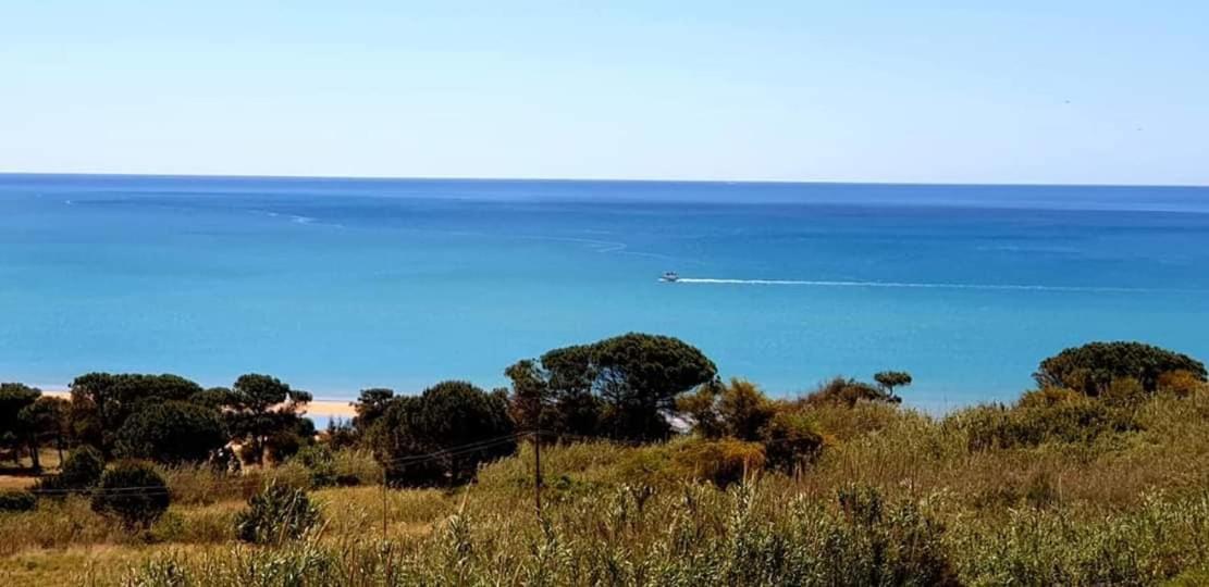 Il Canneto Di Selinunte Marinella di Selinunte Buitenkant foto