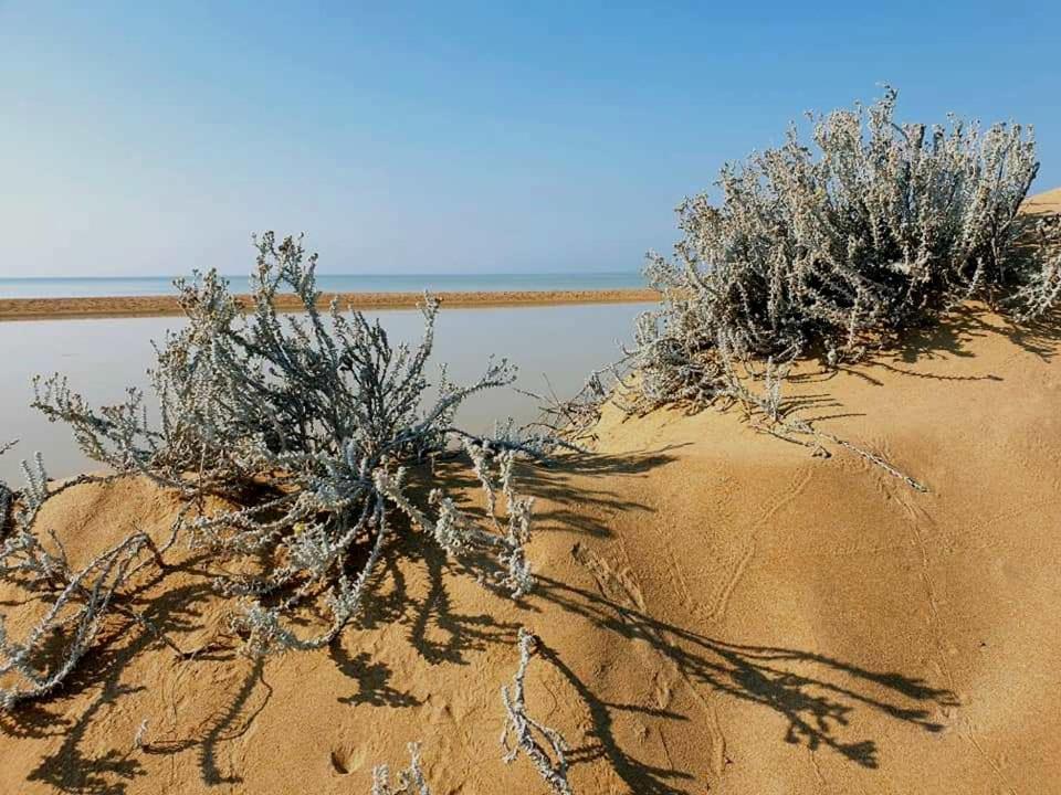 Il Canneto Di Selinunte Marinella di Selinunte Buitenkant foto